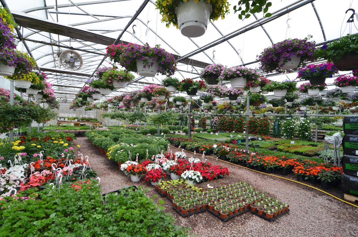 Our Gallery - Countryside Floral & Greenhouses