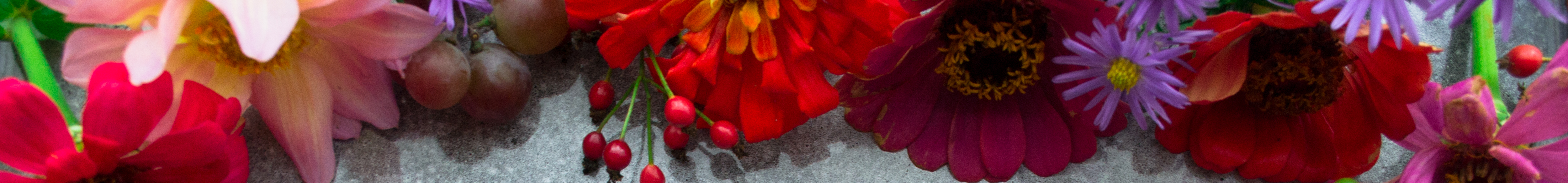 Flower Border Assorted