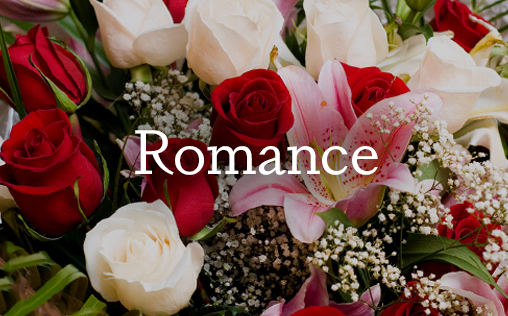 Romance Floral Category